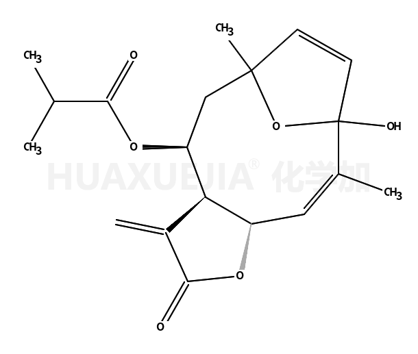 圆叶肿柄菊素 F