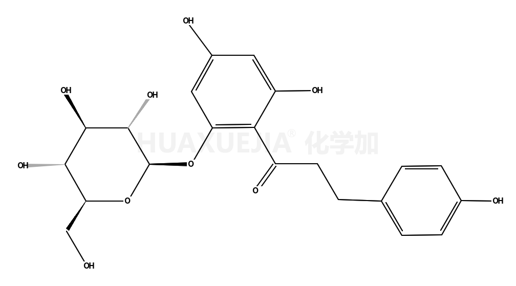 根皮苷	水合物