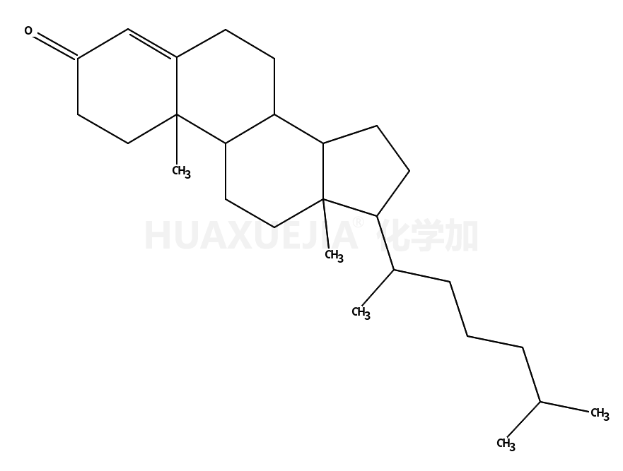 4-胆甾烯-3-酮