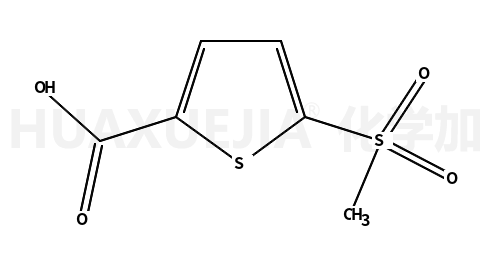 5-甲磺酰噻吩-2-羧酸