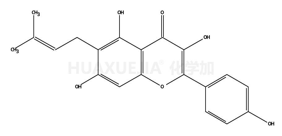 甘草黄酮醇