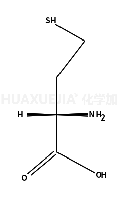 L-高半胱氨酸