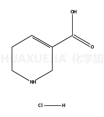 1,2,5,6-四氢吡啶-3-羧酸盐酸盐