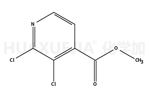 2,3-二氯异烟酸甲酯