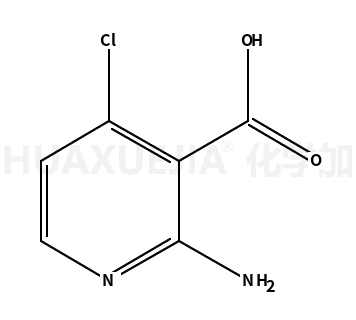 2-氨基-4-氯烟酸