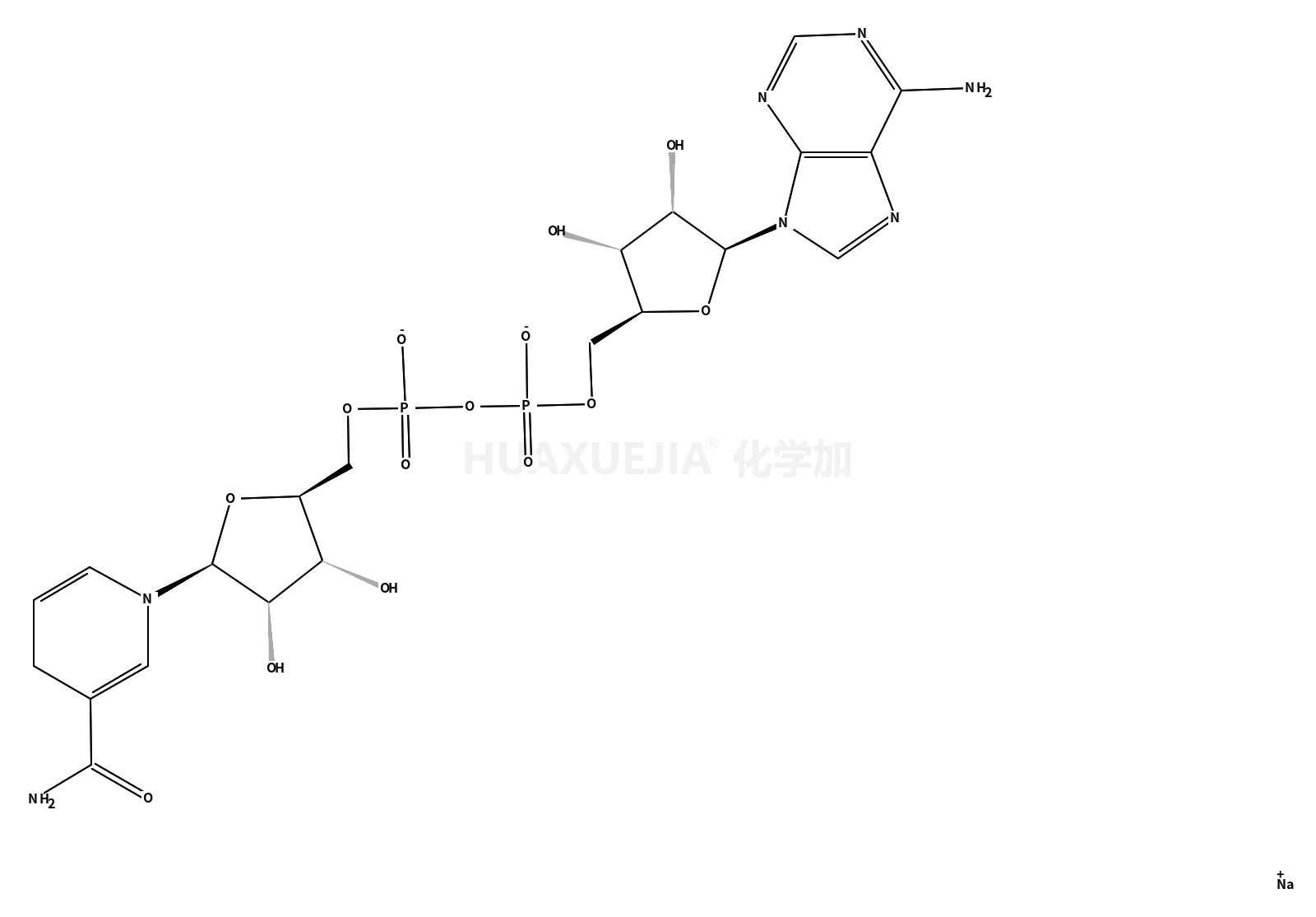 还原型 β-烟酰胺腺嘌呤二核苷酸 二钠盐