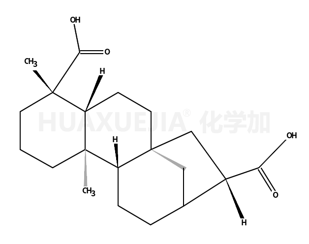 ENT-16βH-贝壳杉烷-17,18-二羧酸