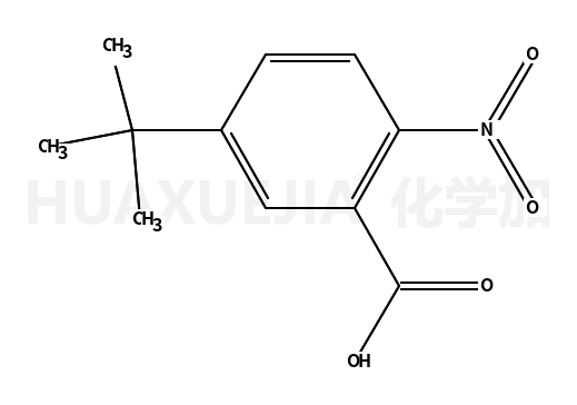 5-叔丁基-2-硝基苯甲酸