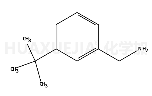 3-tert-butylbenzylamine
