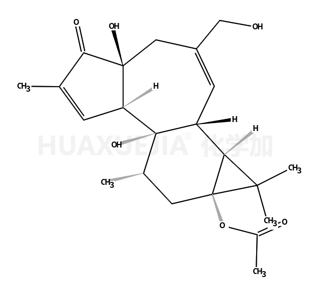 12-脱氧佛波醇-13-乙酸