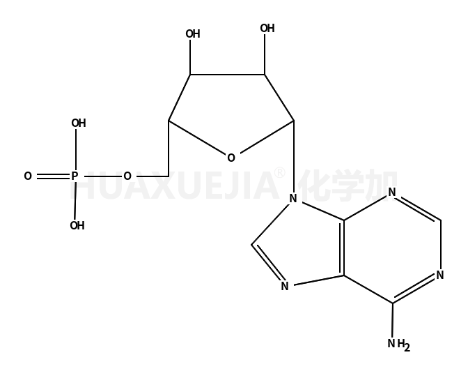 5'-腺嘌呤核苷酸