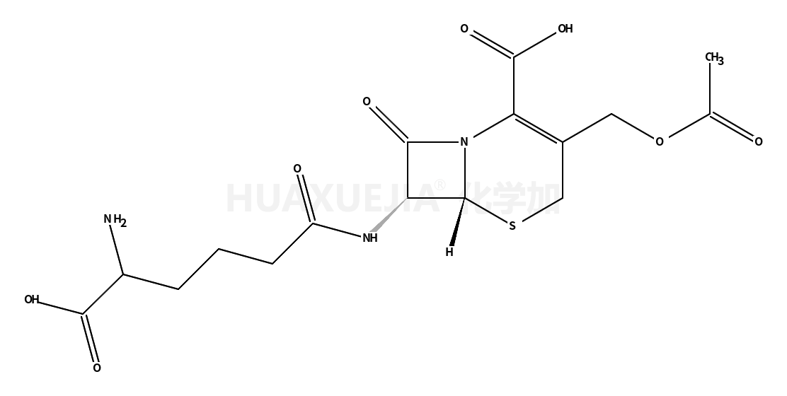 頭孢菌素 C