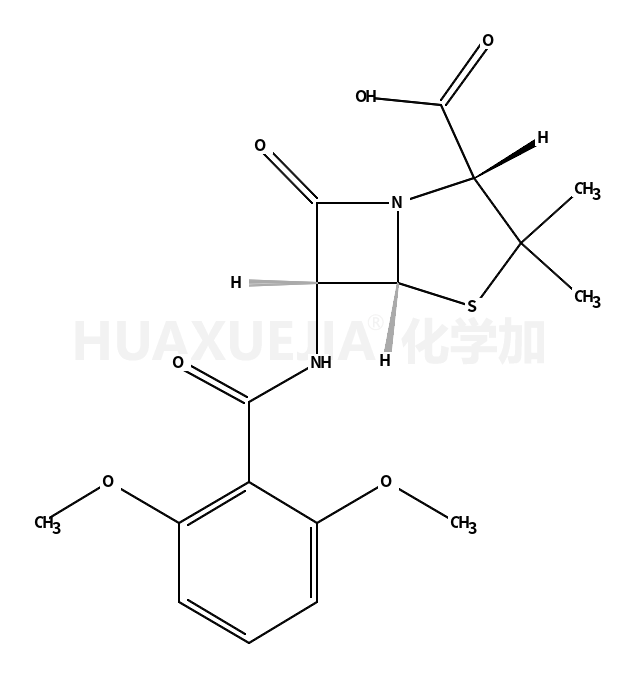 methicillin