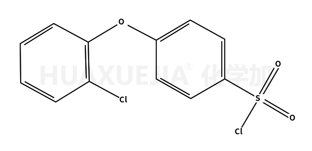 4-(2-氯苯氧基)苯磺酰氯