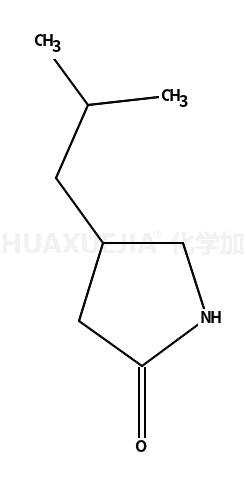 4 -异丁基- 2 -吡咯烷酮