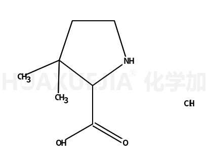 (2S)-3,3-dimethylpyrrolidine-2-carboxylic acid,hydrochloride