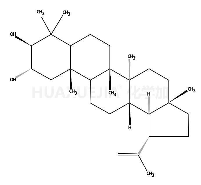 2ALPHA-羟基羽扇豆醇