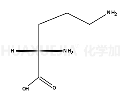 鳥氨酸