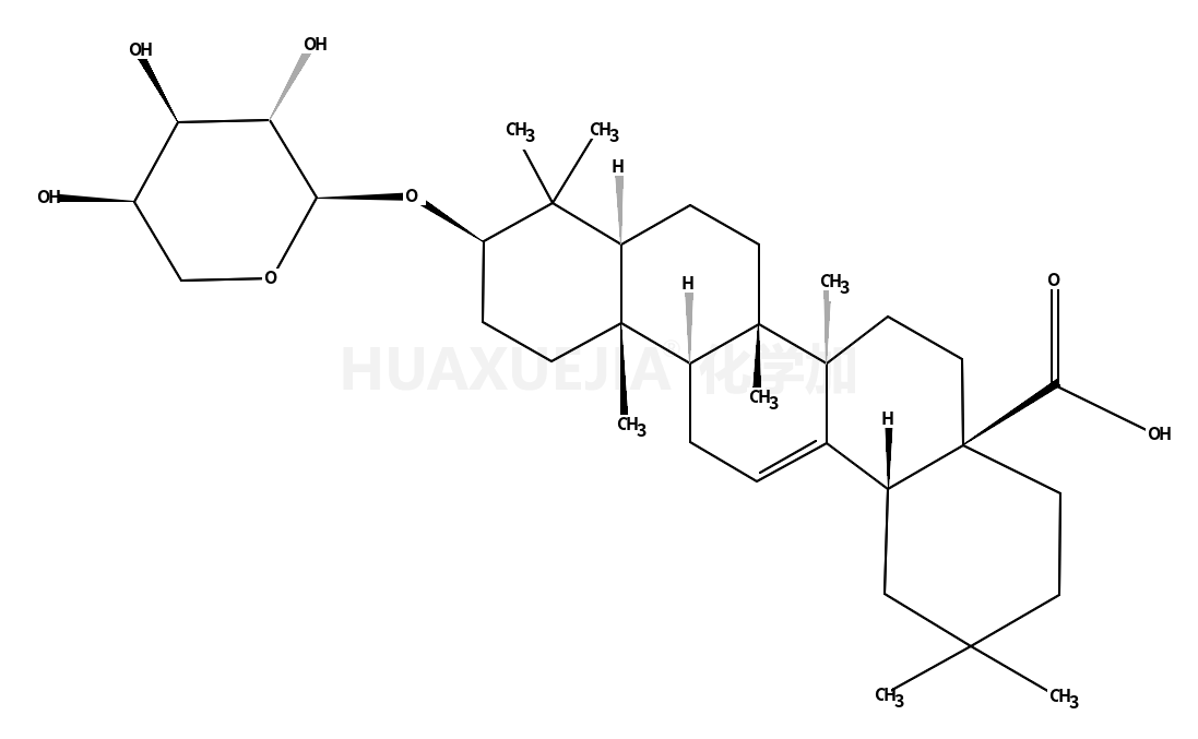 齐墩果酸-3-O-beta-D-氧基吡喃木糖苷