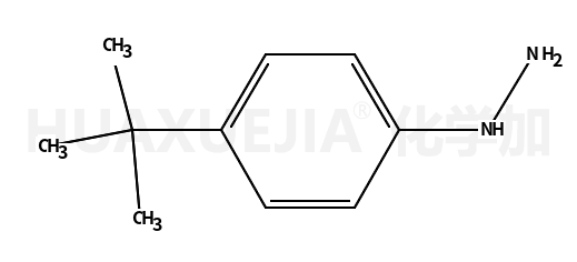 对特丁基苯肼盐酸盐