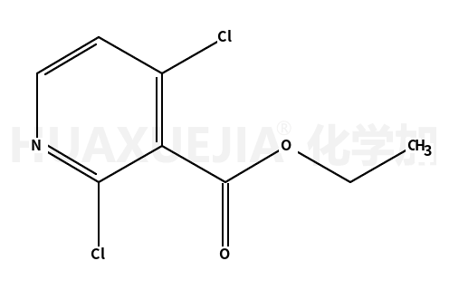 2,4-二氯烟酸乙酯