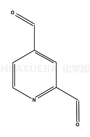 2,4-吡啶二羧醛