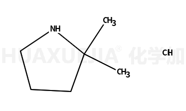 2,2-二甲基吡咯烷盐酸盐