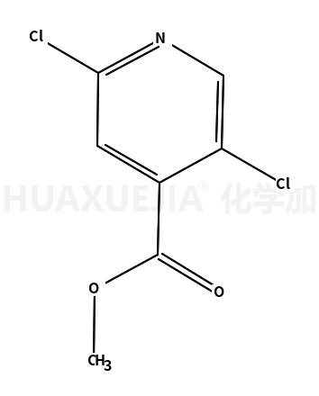 2,5-二氯异烟酸甲酯