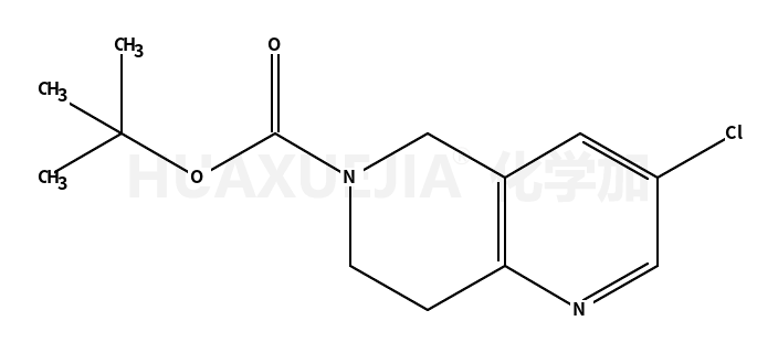 3-氯-7,8-二氢-1,6-萘啶-6(5h)-羧酸叔丁酯