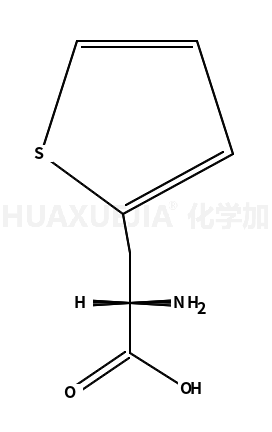 3-(2-噻吩基)-D-丙氨酸