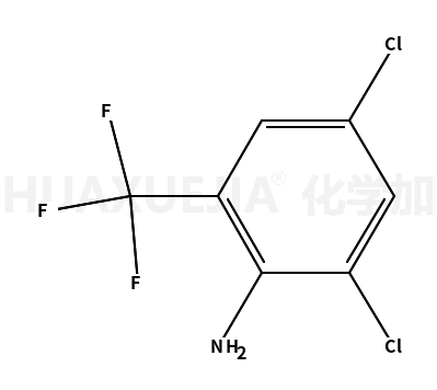 2-氨基-3,5-二氯三氟甲苯