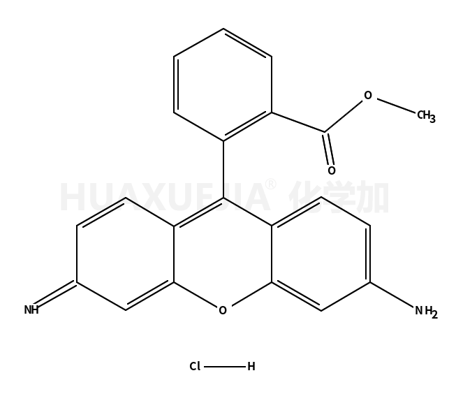 rhodamine 123