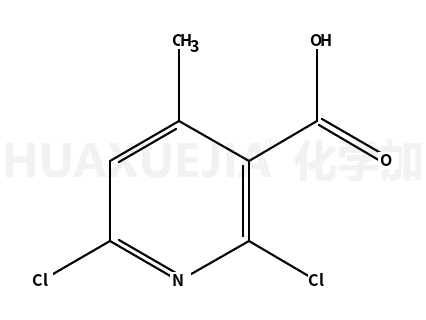 2,6-二氯-4-甲基-3-吡啶甲酸