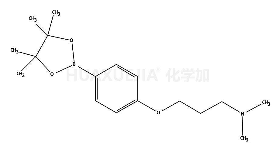 2-{4-[3-(二甲氨基)丙氧基]苯基}-4,4,5,5-四甲基-1,3,2-二噁硼烷