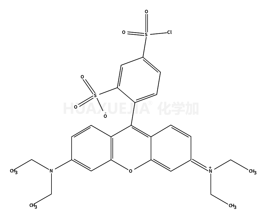 Sulforhodamine B acid chloride [Rhodamine B sulfonyl chloride] , [known as Lissamine™ Rhodamine B Sulfonyl Chloride, TM of PerkinElmer]