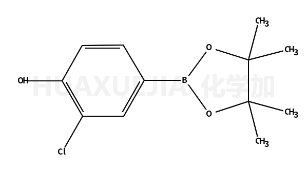 3-氯-4-羟基苯硼酸频那醇酯