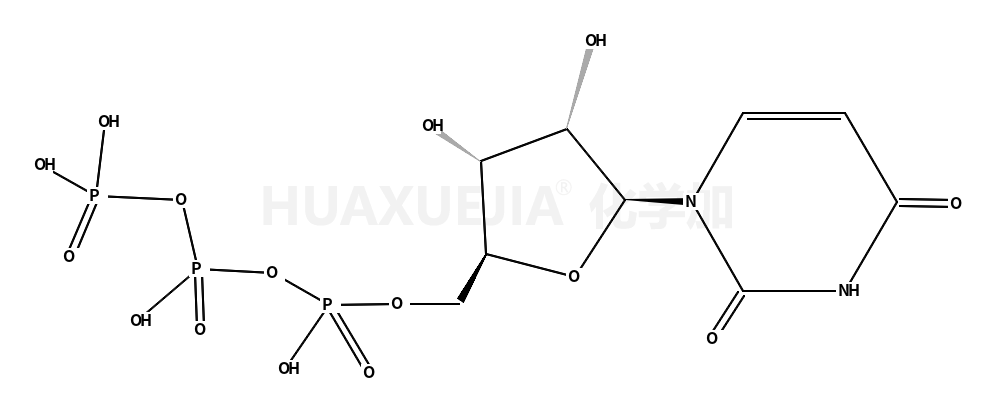 尿苷-5'-三磷酸