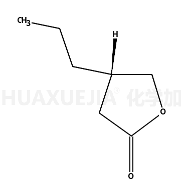 2(3H)-Furanone, dihydro-4-propyl-, (R)- (9CI)