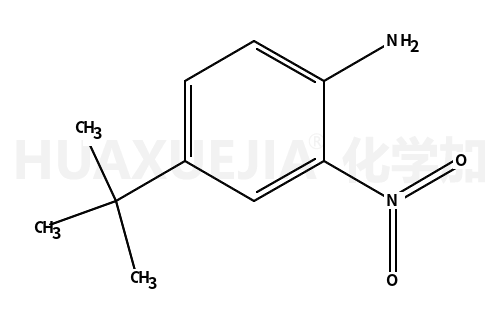 4-叔丁基-2-硝基苯胺