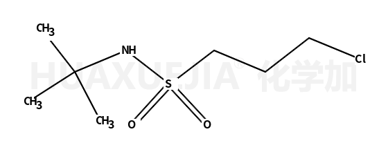 N-叔丁基-3-氯丙烷-1-磺酰胺