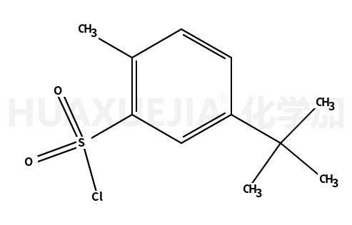 5-叔丁基-2-甲基-苯磺酰氯