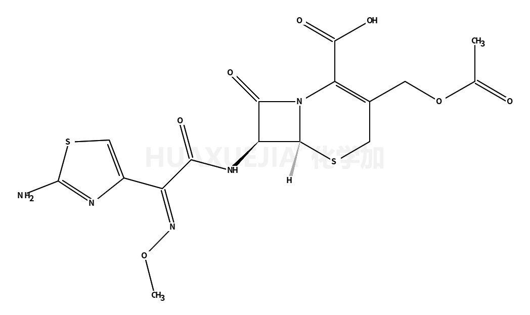 头孢噻肟酸
