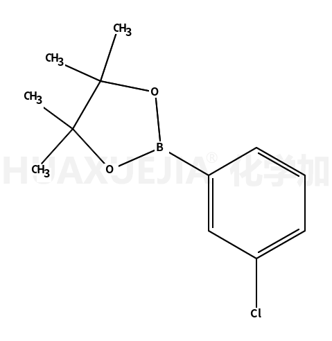 3-氯苯基硼 酸片呐醇 酯