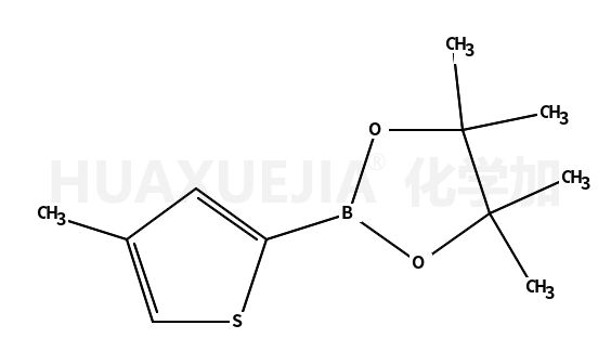 4-甲基噻吩-2-硼酸频哪醇酯