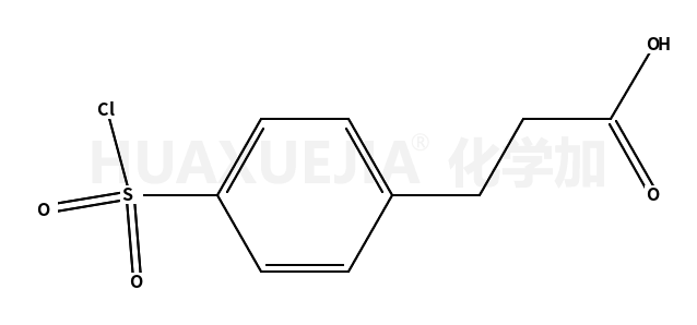 3-(4-氯磺酰基)丙酸