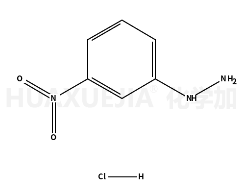 3-硝基苯肼盐酸盐