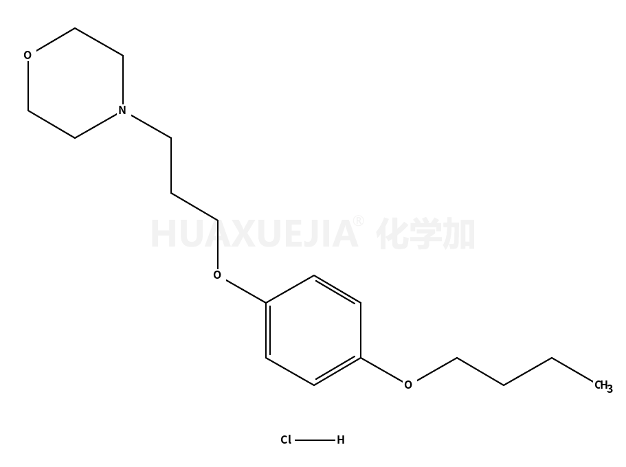 盐酸普莫卡因