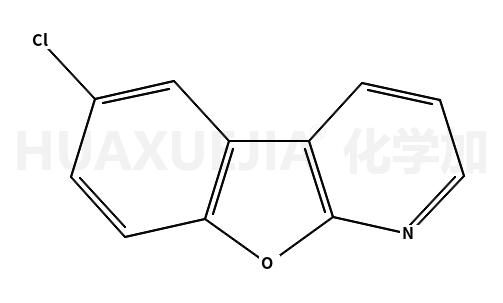 6-氯苯并呋喃[2,3-b]吡啶