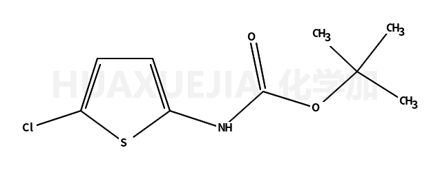 (5-氯-2-噻吩)氨基甲酸叔丁酯