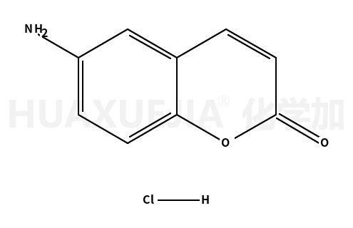 6-氨基香豆素.盐酸盐
